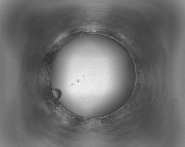 X0000081581446200701151230