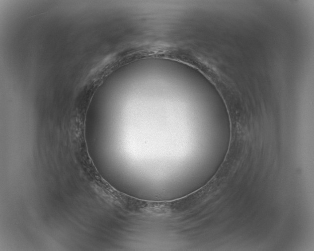 X0000081581447200701151230