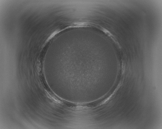 X0000081581449200701151230