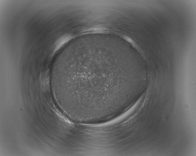 X0000081581450200701151230