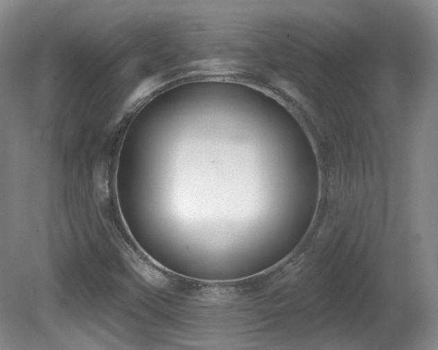 X0000081581451200701151230