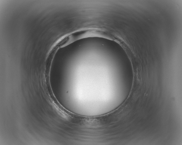 X0000081581452200701151230