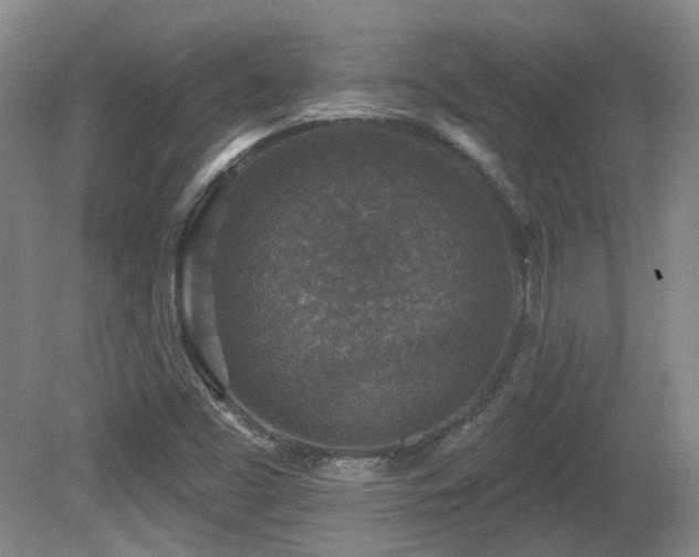 X0000081581453200701151230