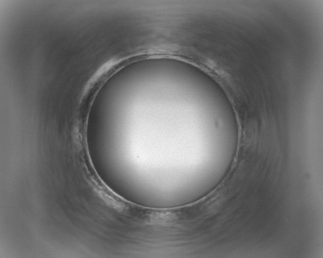 X0000081581454200701151230