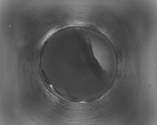 X0000081581455200701151230