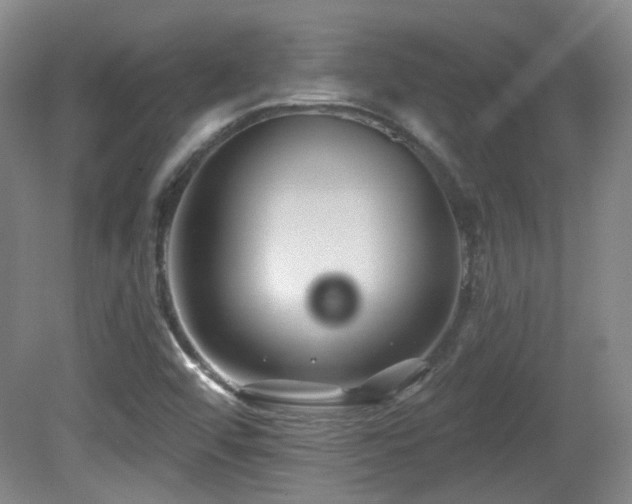 X0000081581456200701151230