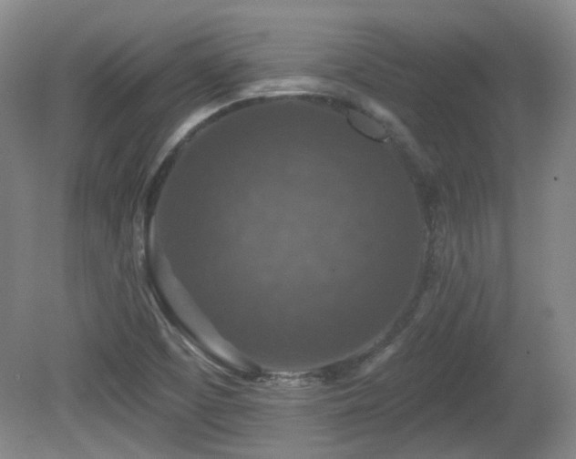 X0000081581457200701151230