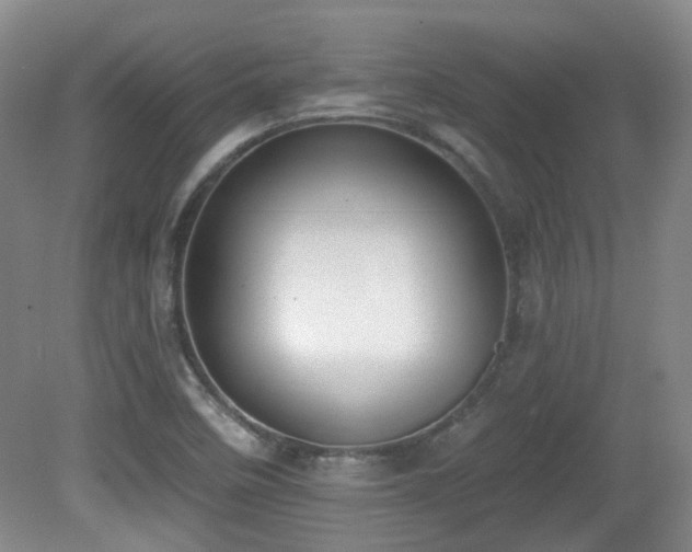 X0000081581458200701151230