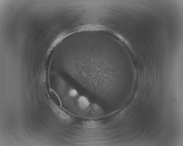 X0000081581459200701151230