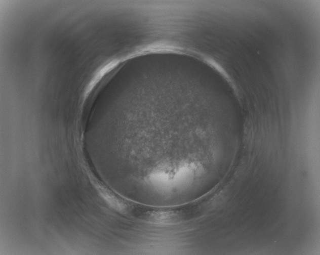 X0000081581461200701151230