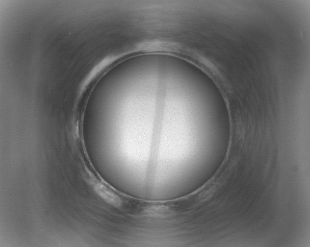 X0000081581462200701151230