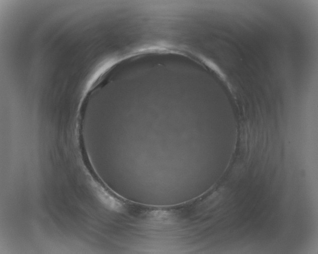 X0000081581463200701151230