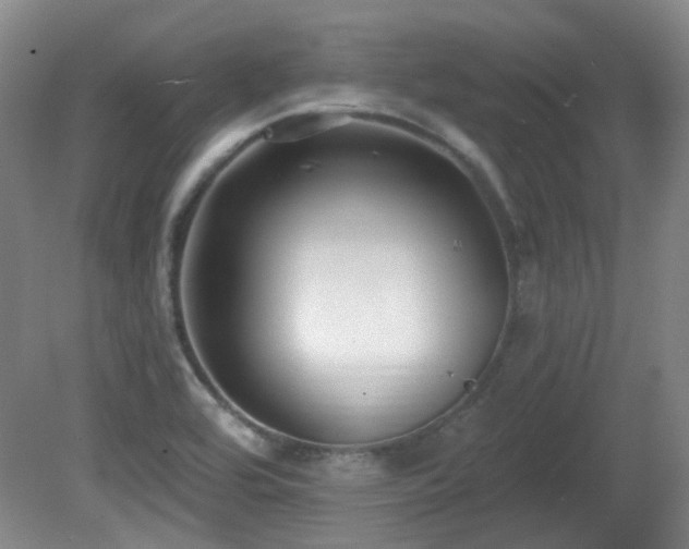 X0000081581464200701151230