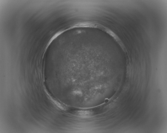 X0000081581465200701151230