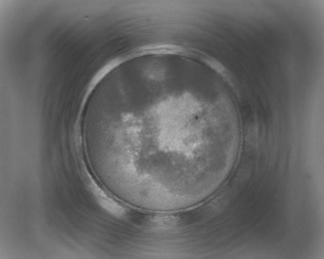 X0000081581466200701151230