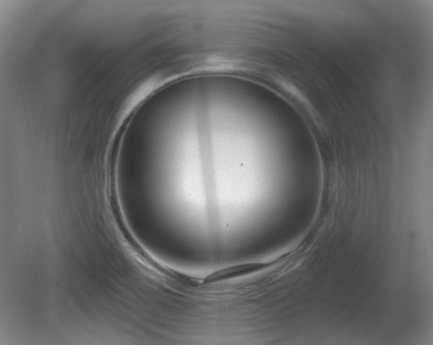 X0000081581467200701151230