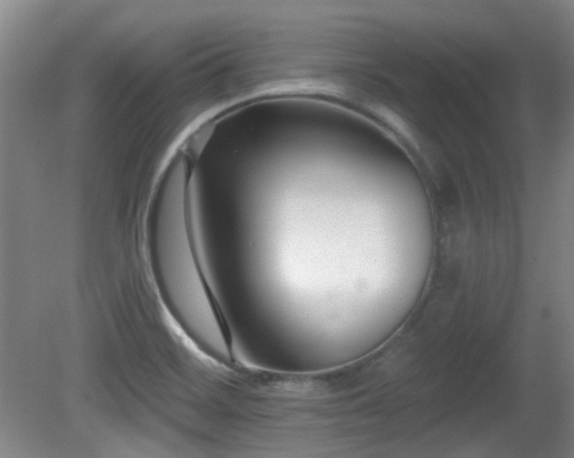 X0000081581468200701151230