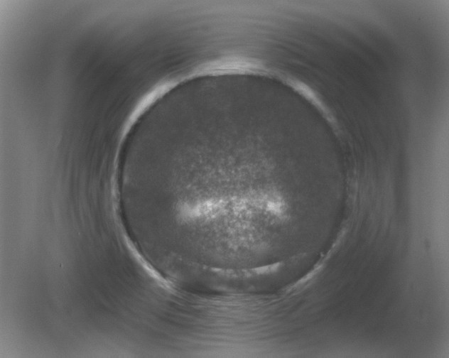 X0000081581469200701151230