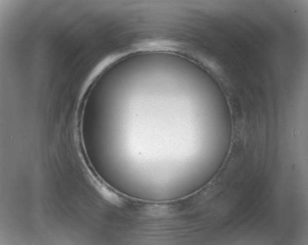 X0000081581470200701151230