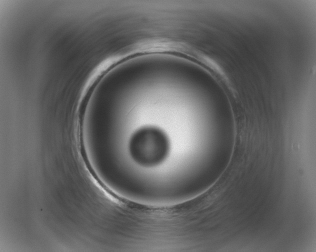 X0000081581472200701151230