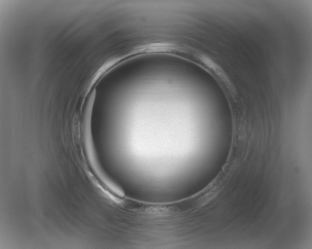 X0000081581473200701151230