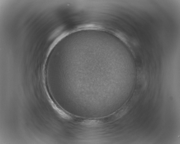 X0000081581474200701151230