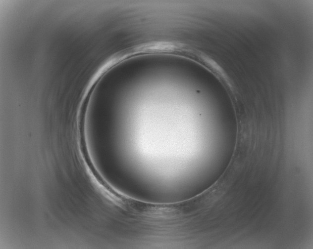 X0000081581475200701151230