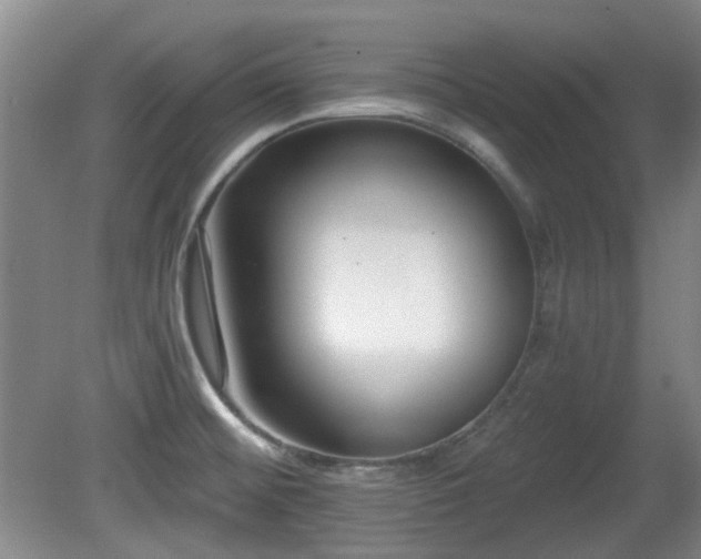 X0000081581476200701151230