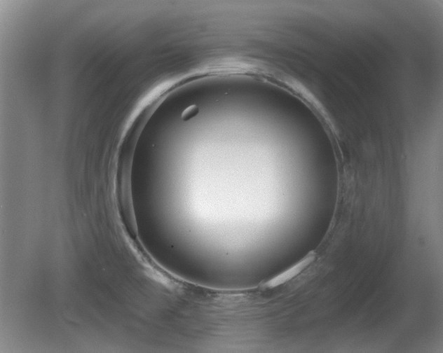 X0000081581477200701151230