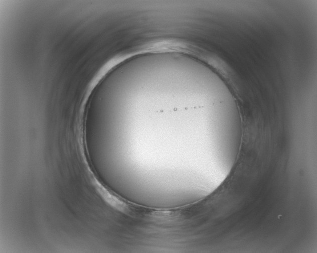 X0000081581478200701151230