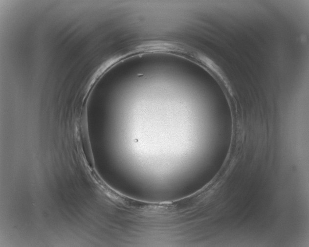 X0000081581481200701151230