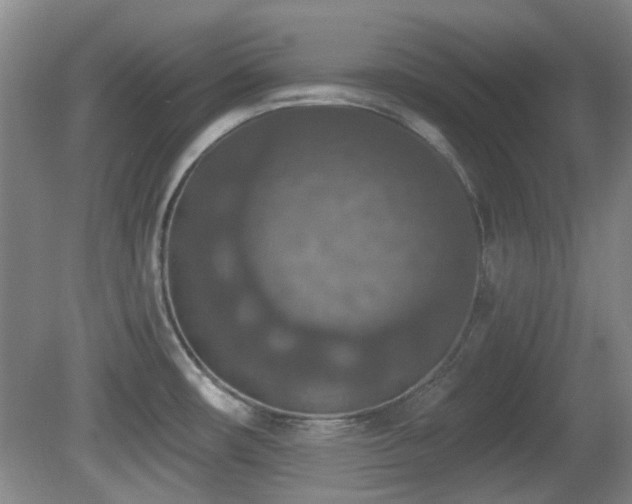 X0000081581482200701151230