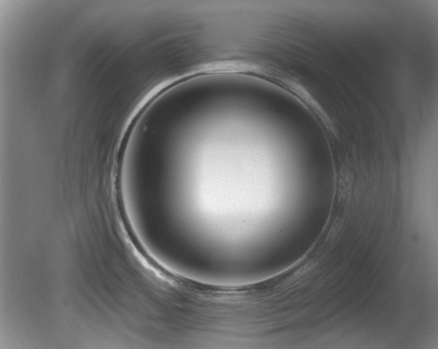 X0000081581484200701151230