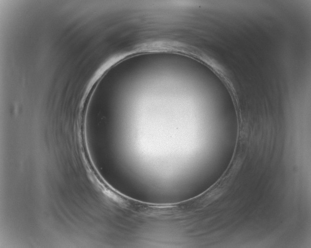 X0000081581486200701151230