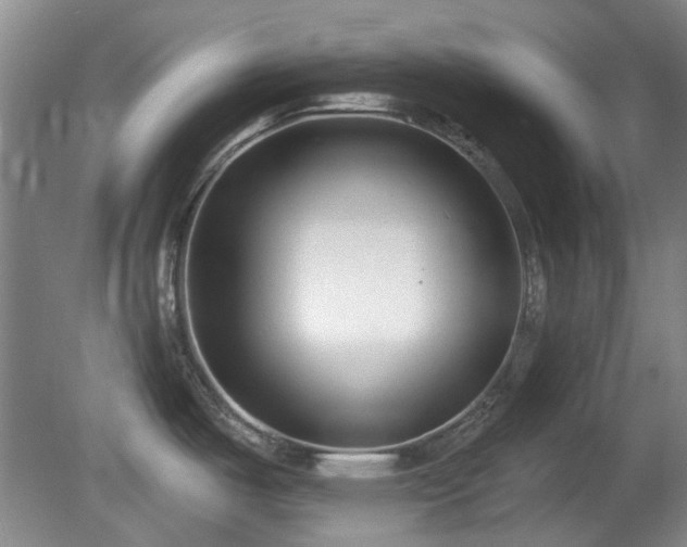 X0000081581487200701151230