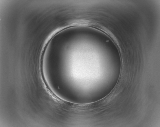 X0000081581488200701151230