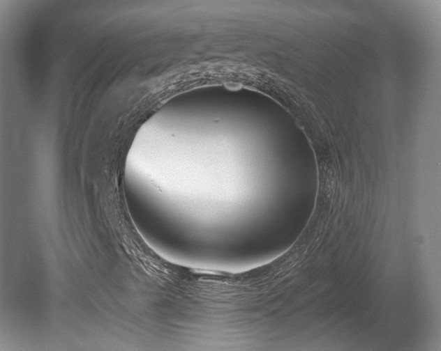 X0000081581489200701151229