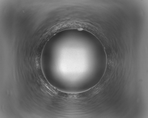 X0000081581490200701151229