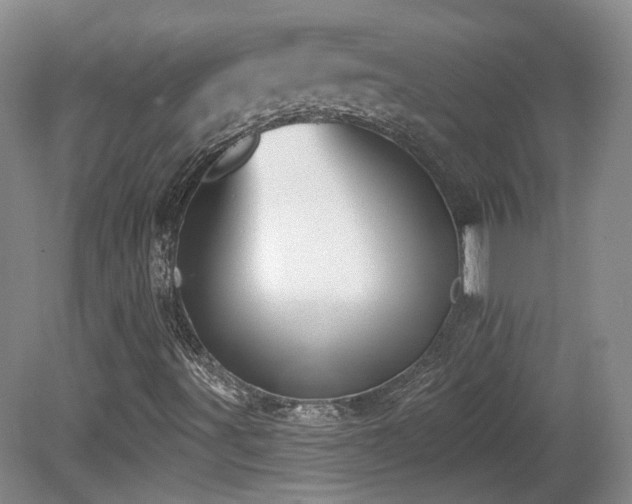 X0000081581491200701151229