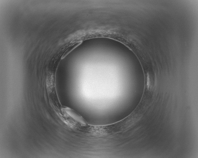 X0000081581492200701151229