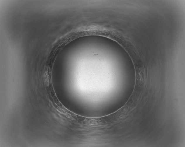 X0000081581493200701151229