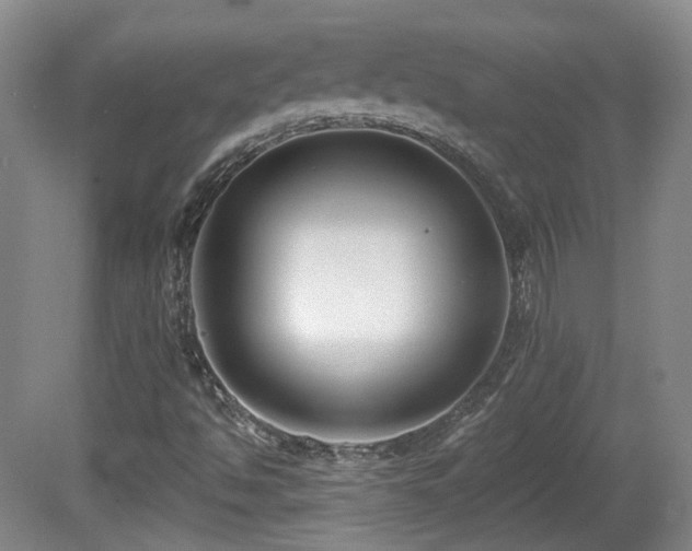 X0000081581494200701151229