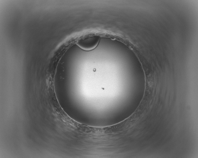 X0000081581495200701151229