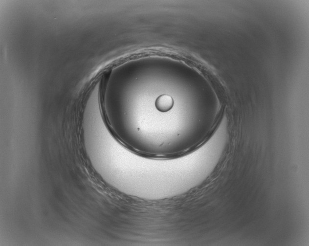 X0000081581496200701151229