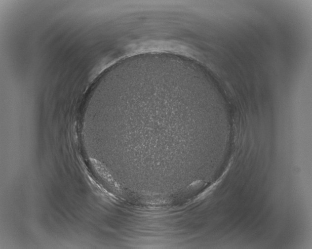 X0000081581497200701151229