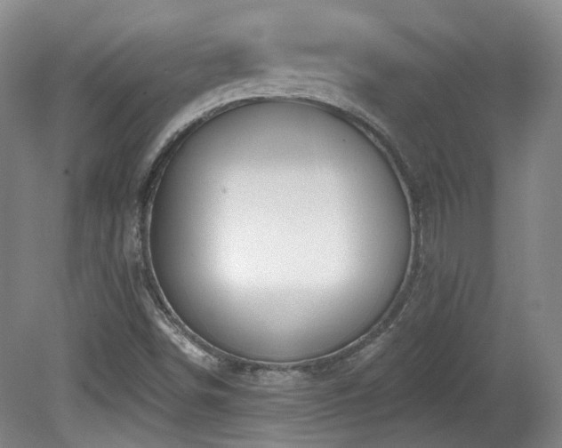 X0000081581498200701151229