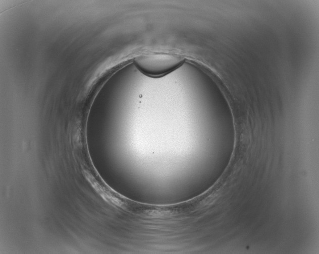 X0000081581499200701151229