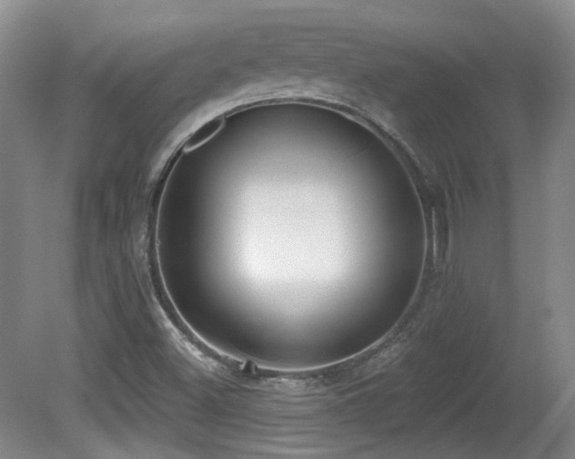 X0000081581500200701151229