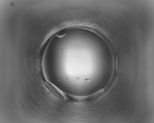 X0000081581501200701151229