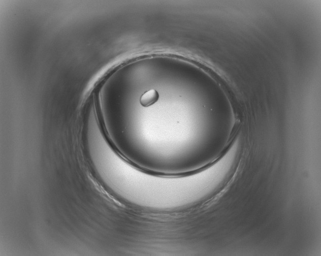 X0000081581502200701151229